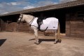 S/HILL RHINEGOLD RIDE ON FLY RUG 6